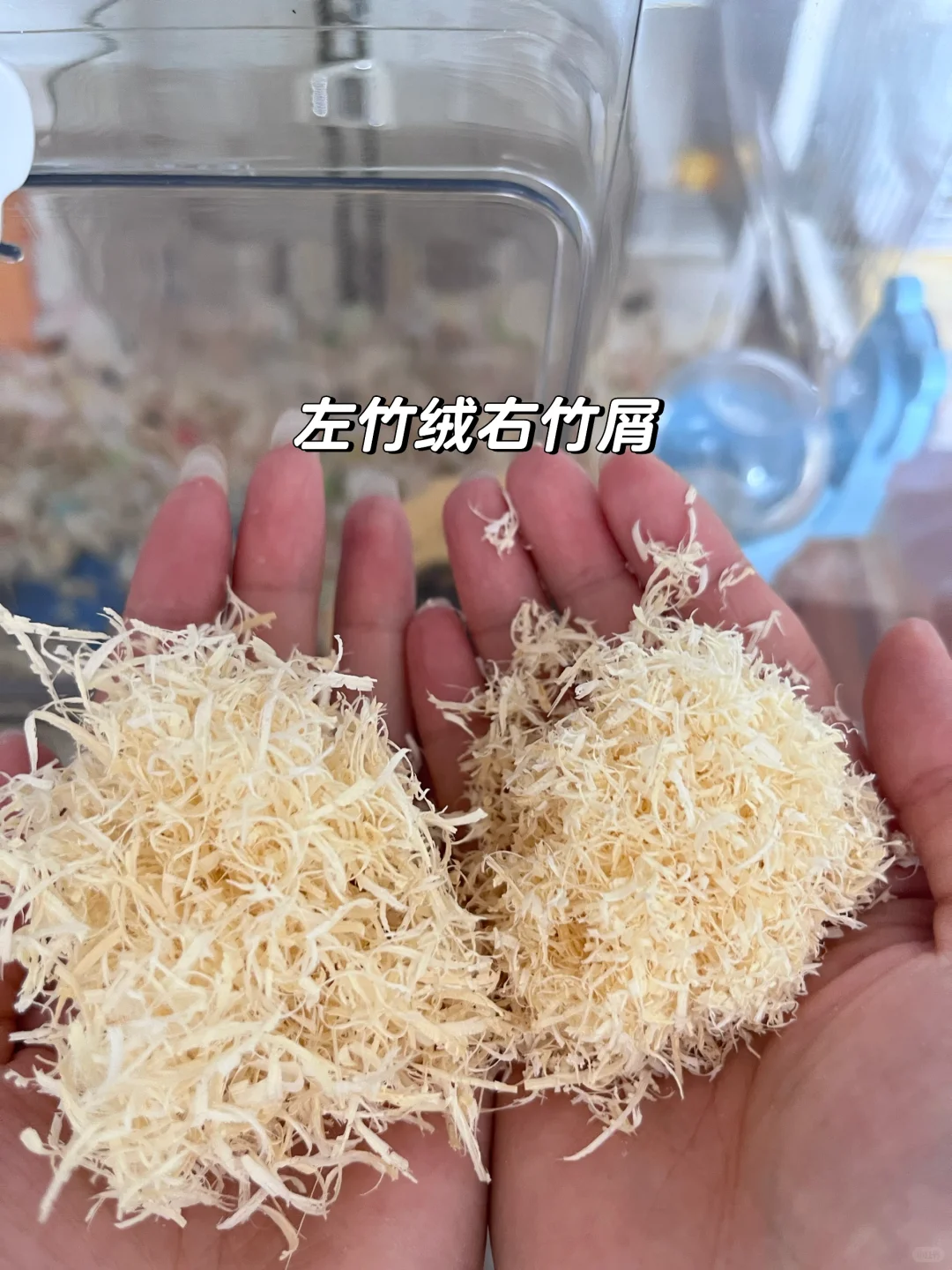 鼠鼠夏季王炸垫料！！