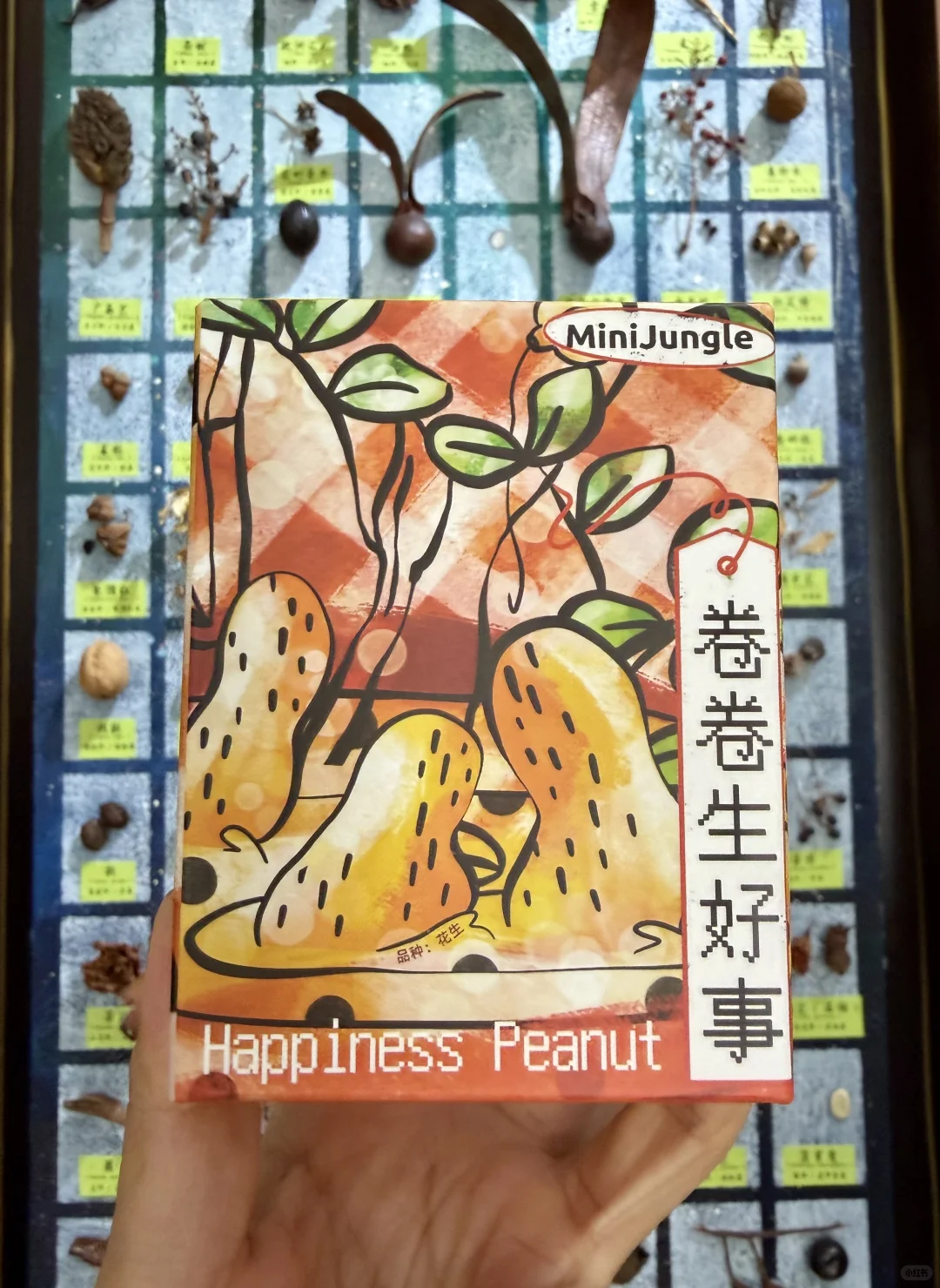 没有人能空手离开无锡热植展?