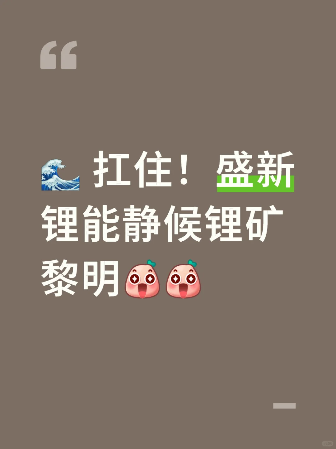 ? 扛住！盛新锂能静候锂矿黎明