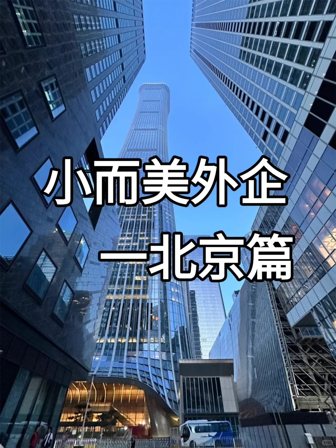 小而美ESG外企一北京篇