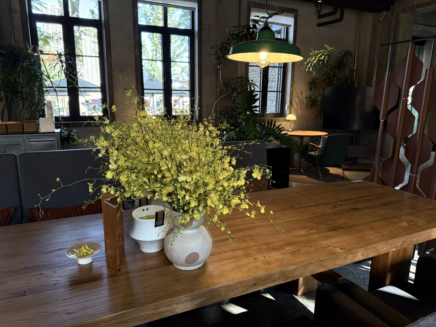 旧厂换新颜-钢架上的绿藤光阴