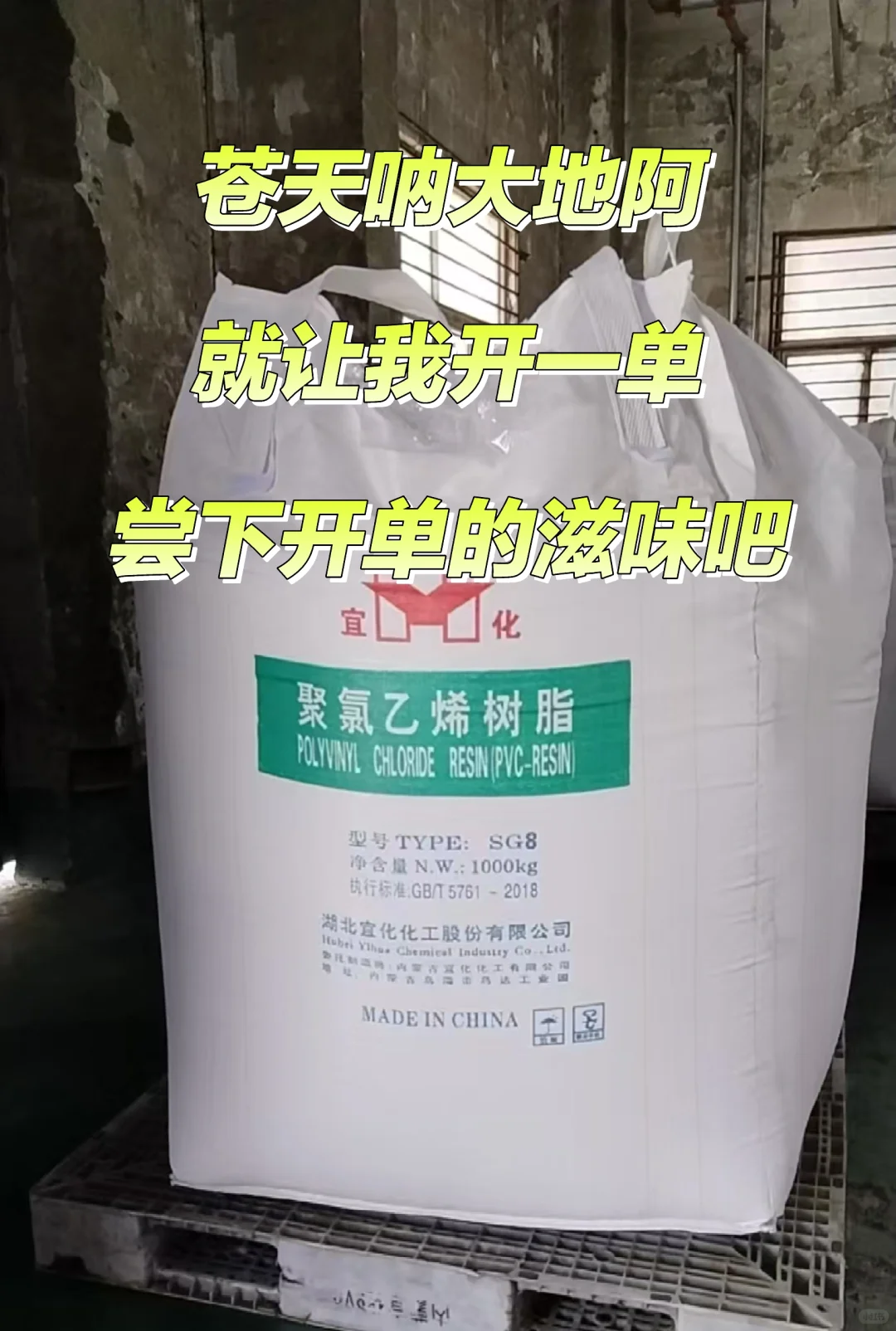 求开一单，一单就好