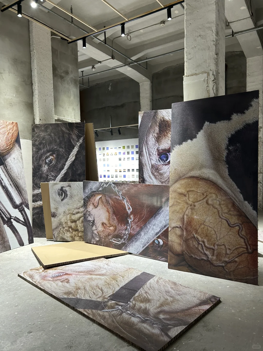 马的局部肌理变巨型影像