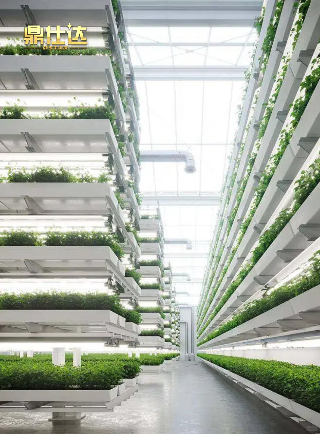 铝三维板，垂直农场新宠！?