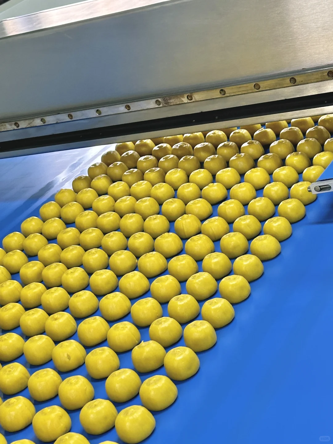 想在盒马这个烘焙工厂待一天！好治愈啊