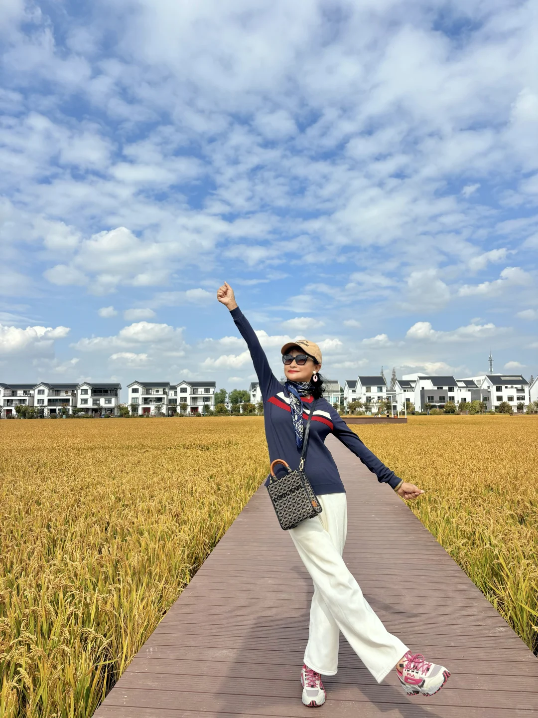 稻海漫过窗棂时,刚好接住了嘉定向阳的秋