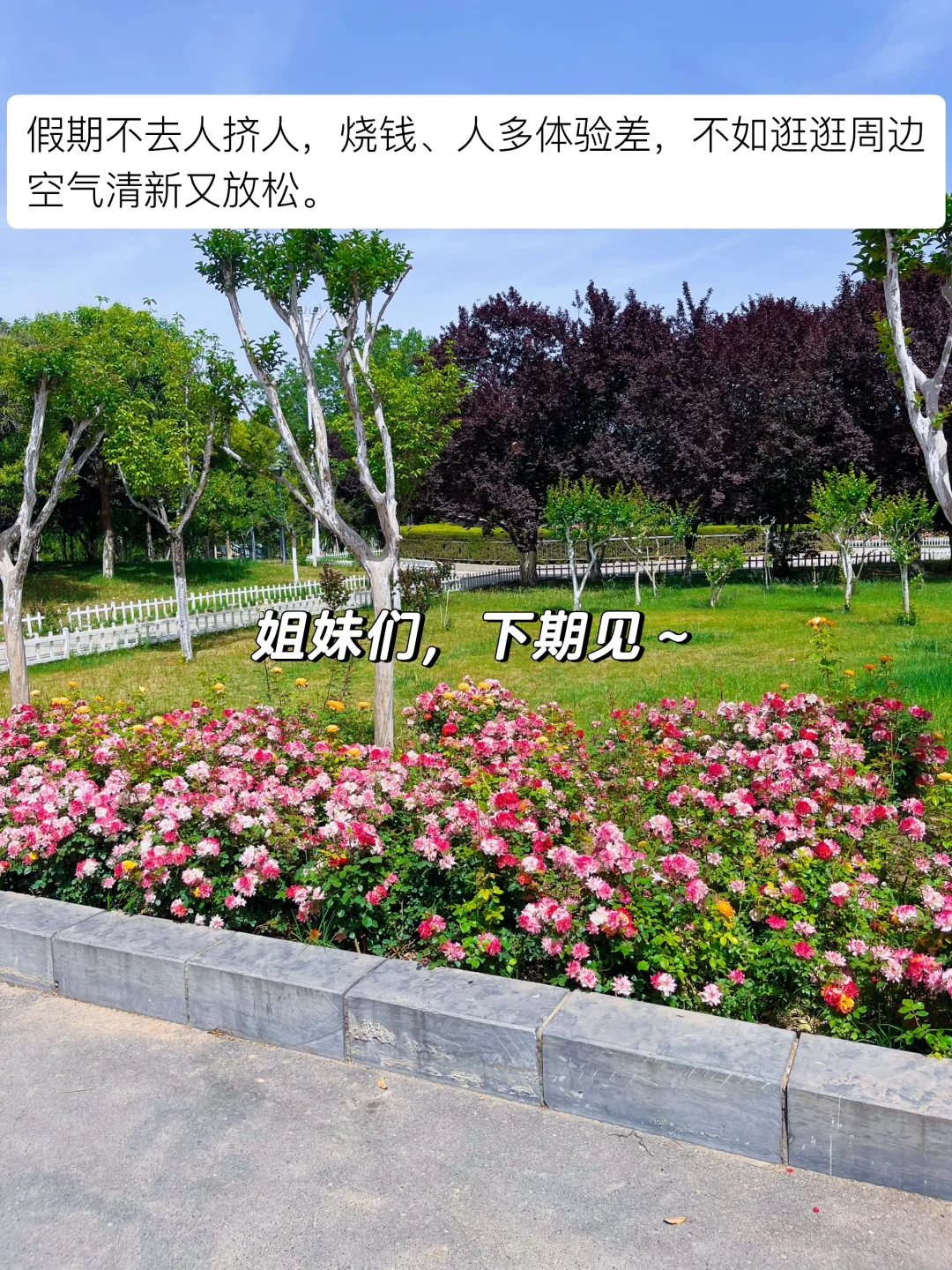 父母住了20年的家,干净充满烟火气,很好宅❗️