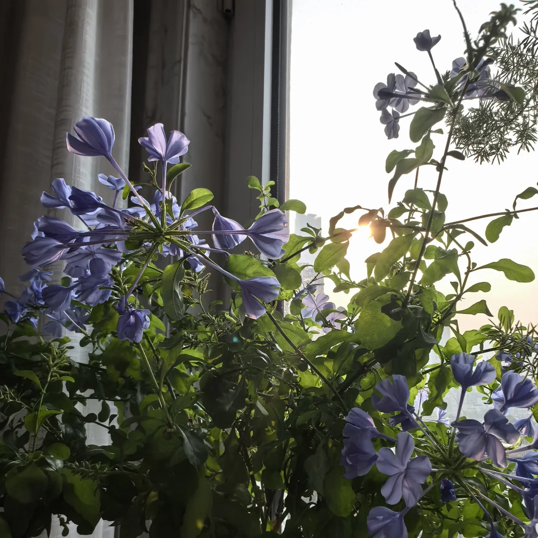 自学《中医基础理论》打卡