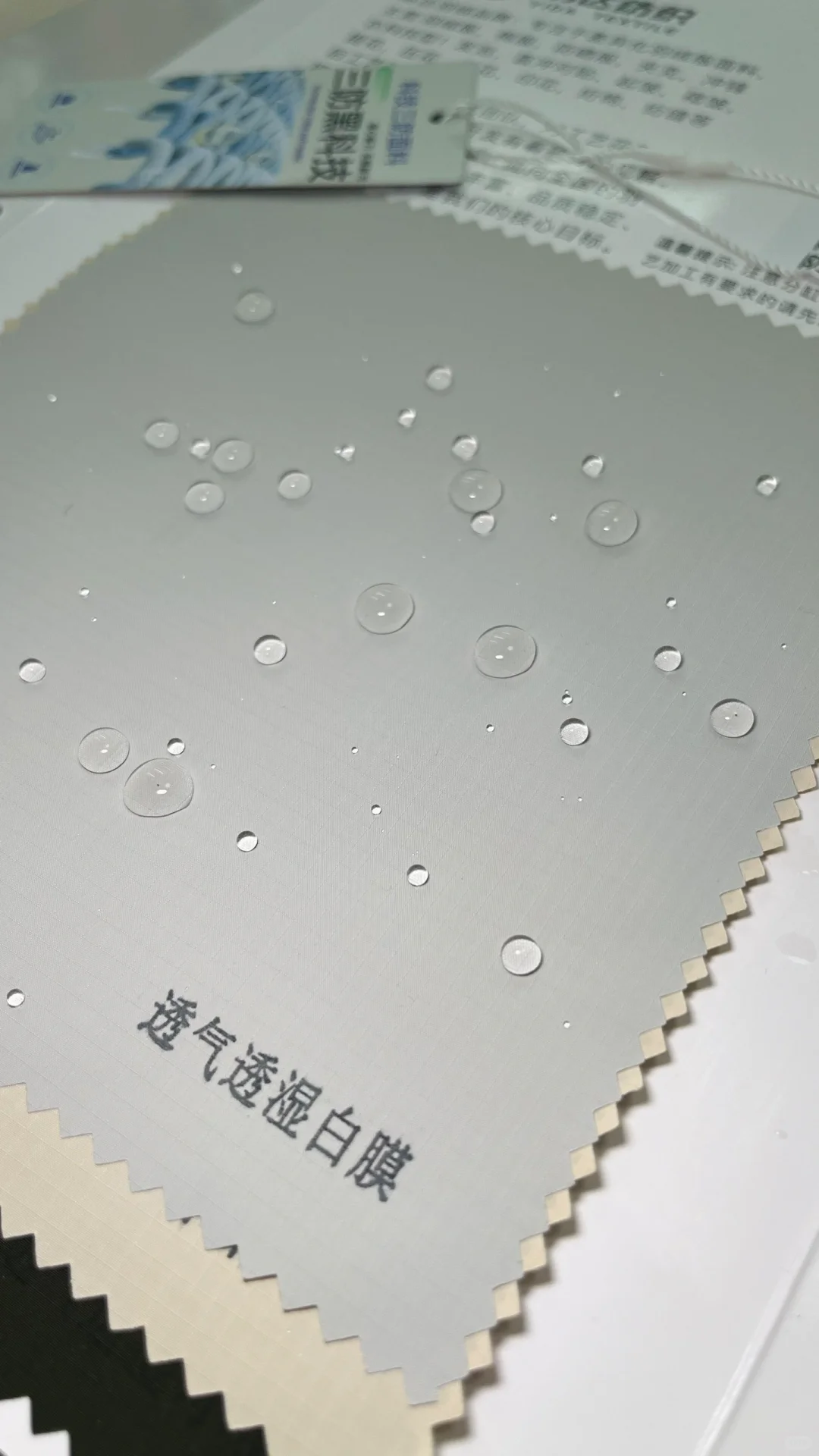 快看快看！一款适合秋冬的冲锋衣面料