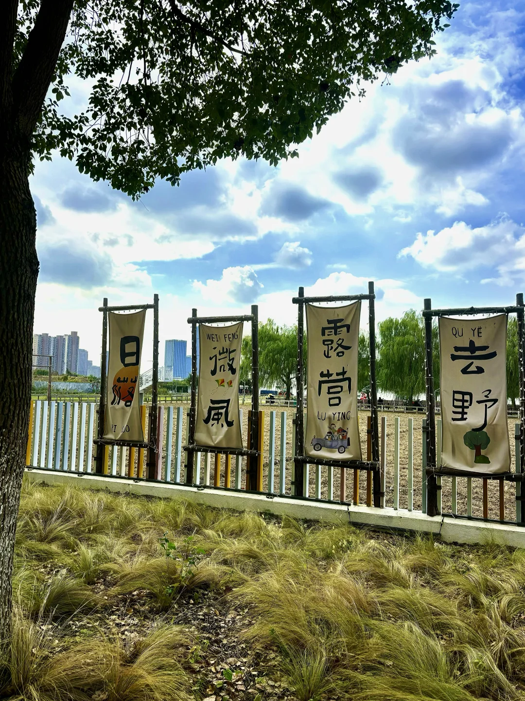 稻海漫过窗棂时,刚好接住了嘉定向阳的秋