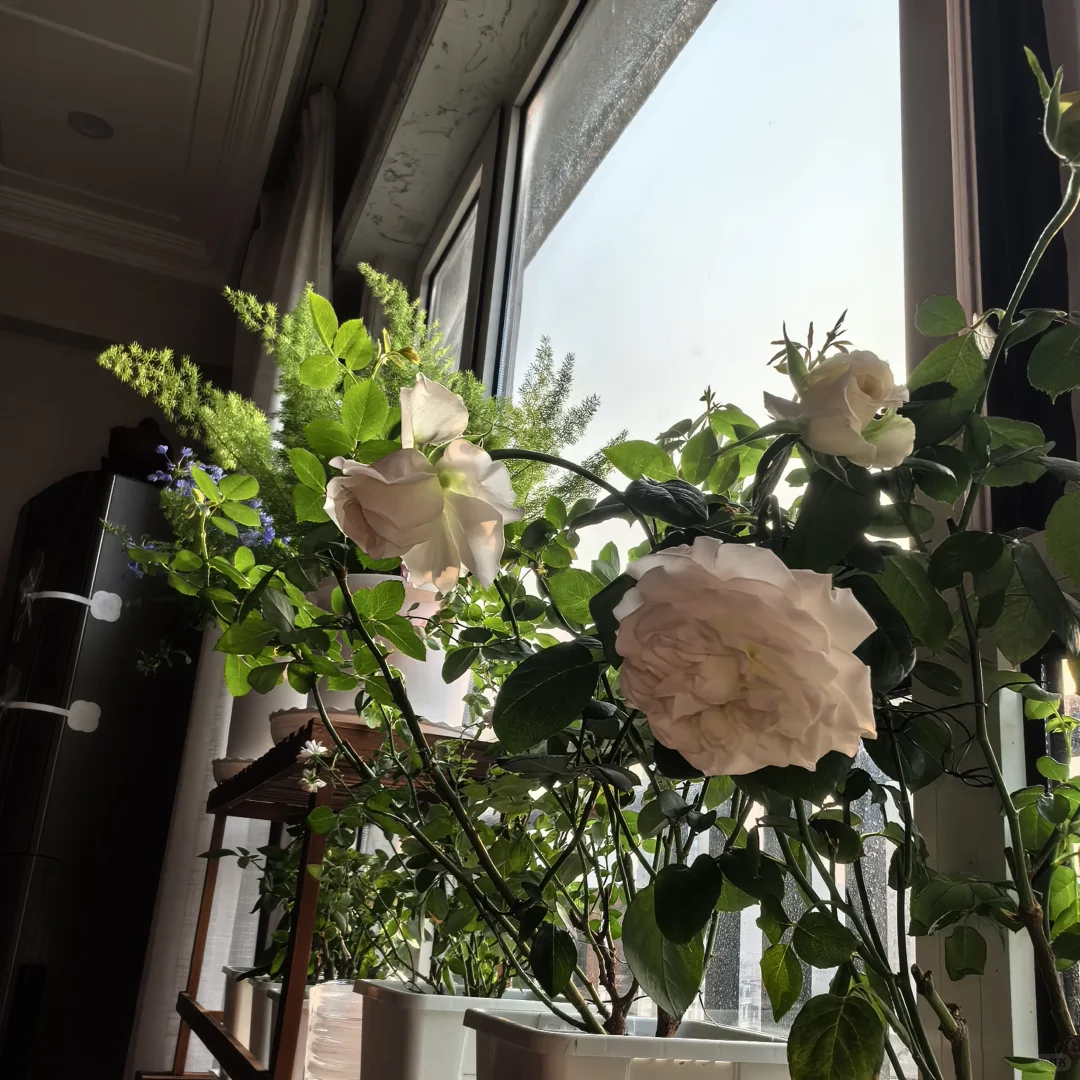 自学《中医基础理论》打卡