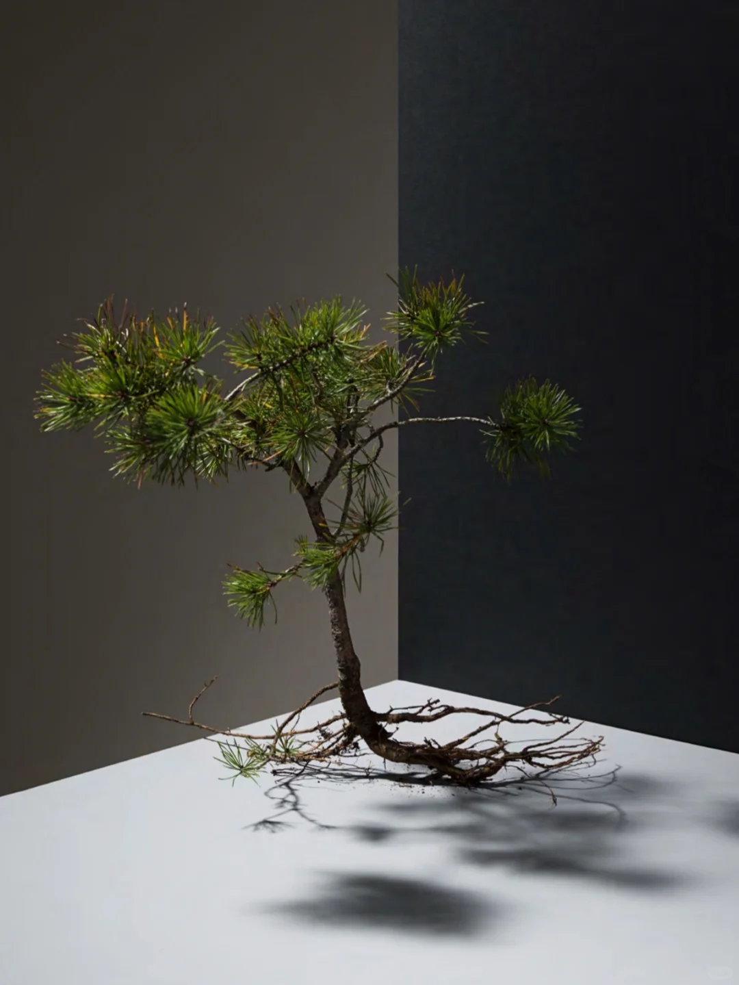 【绿色建筑新浪潮】揭秘节能低碳重塑中国建筑