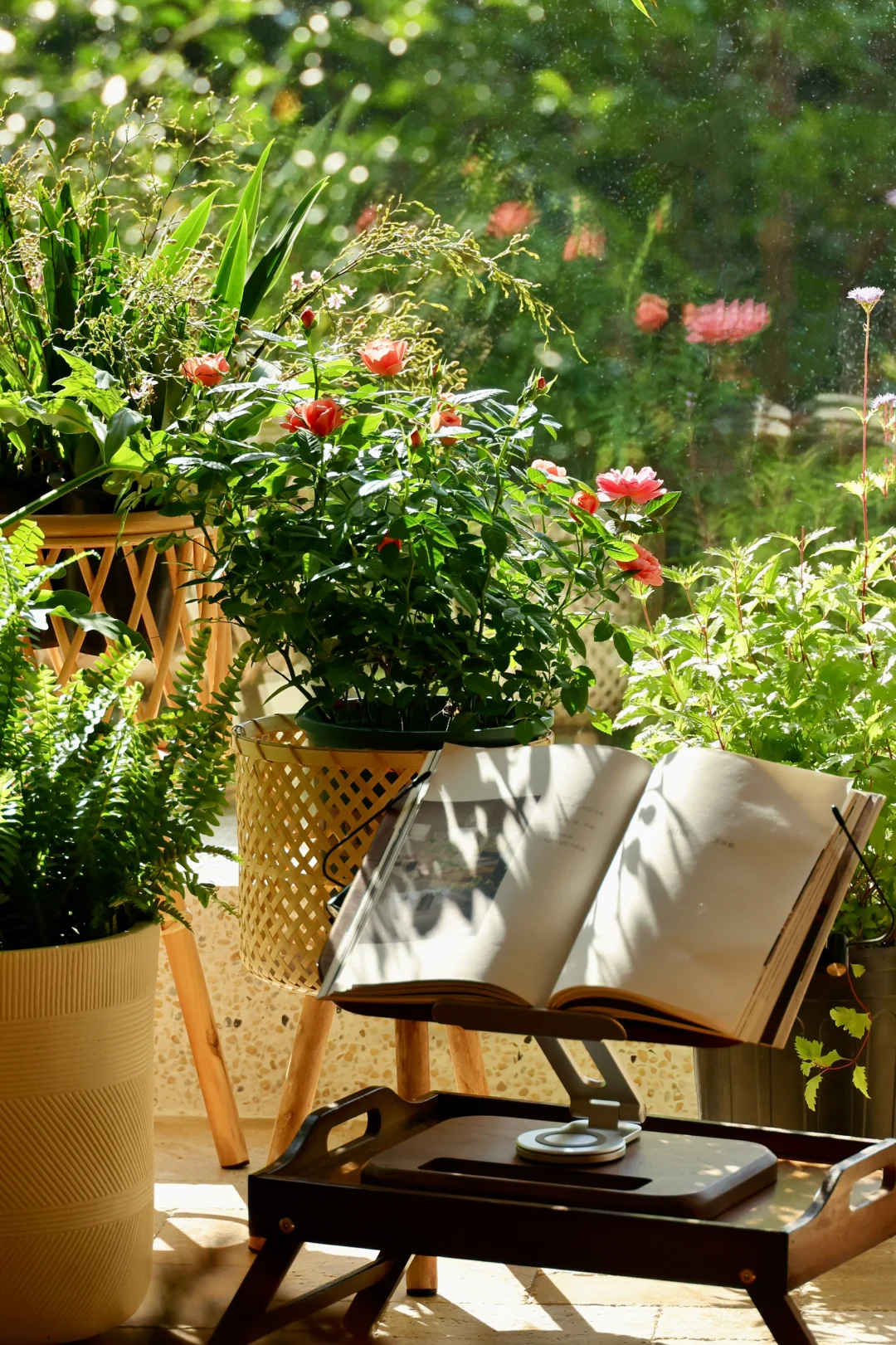 秋冬宅家，享受被阳光和绿植包裹的治愈时光