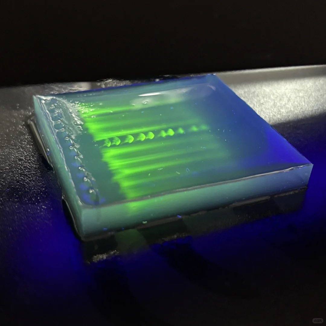 ?中山电科大 食安实验课