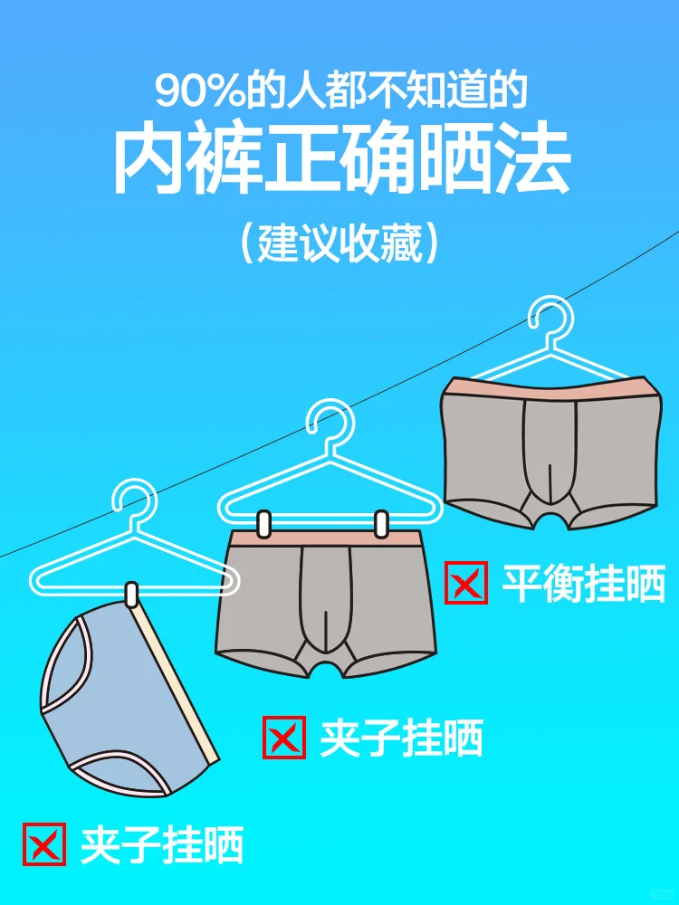 小课堂 | 为什么晒干的苦茶子总是硬梆梆的