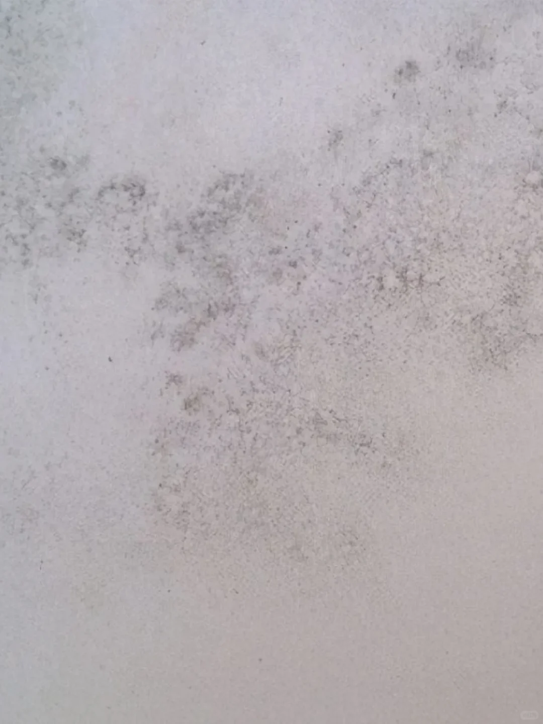 墙面发霉不用怕！TOR涂料拯救它！