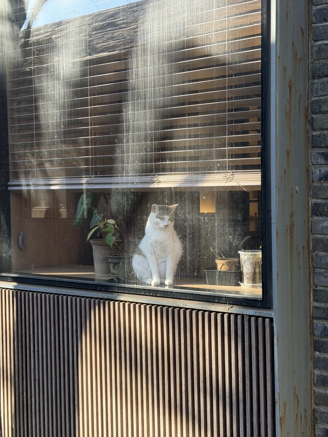 看展失败，变成工业遗产更新项目考察