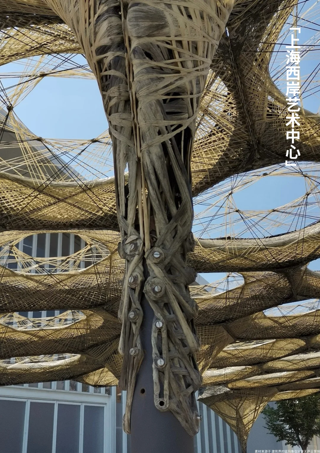 VOL.09建筑新材料|万能的「黑色黄金」