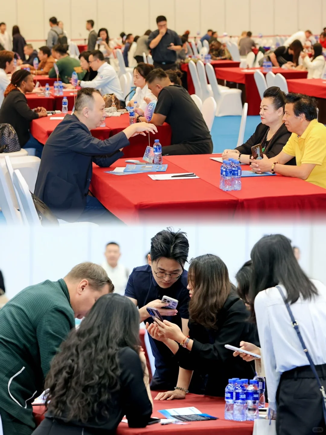 服贸会企业视角扫馆!科技+拉美风情太好逛