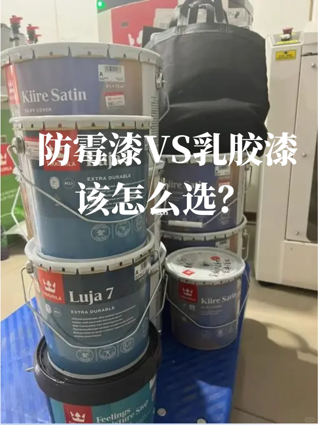 防霉漆VS乳胶漆，怎么选？