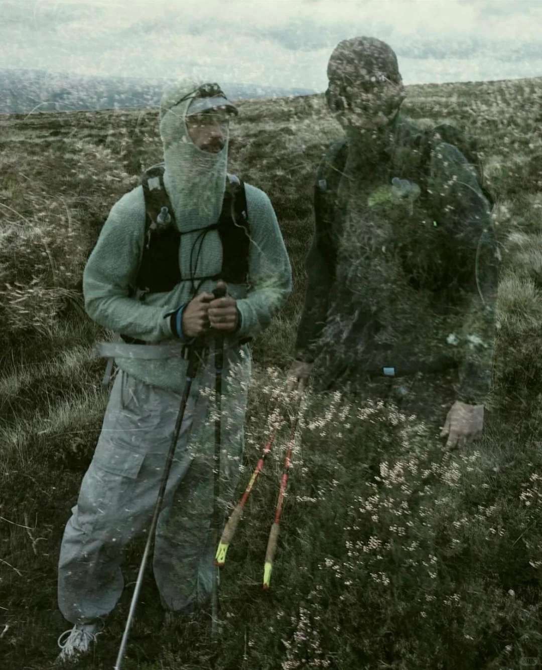 来自 Senchi Designs 的自然见解?