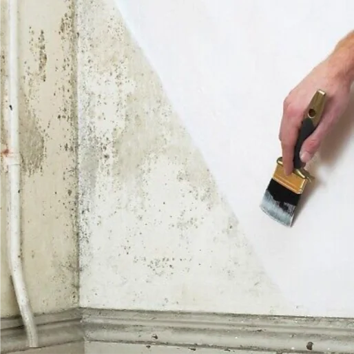 传统乳胶漆与鲸彩漆锌离子抗菌技术的对比