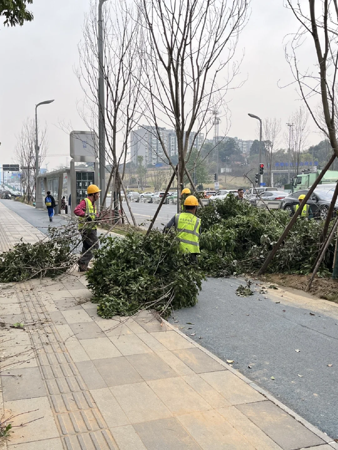 绿化带修剪废弃树枝清理 压缩装车