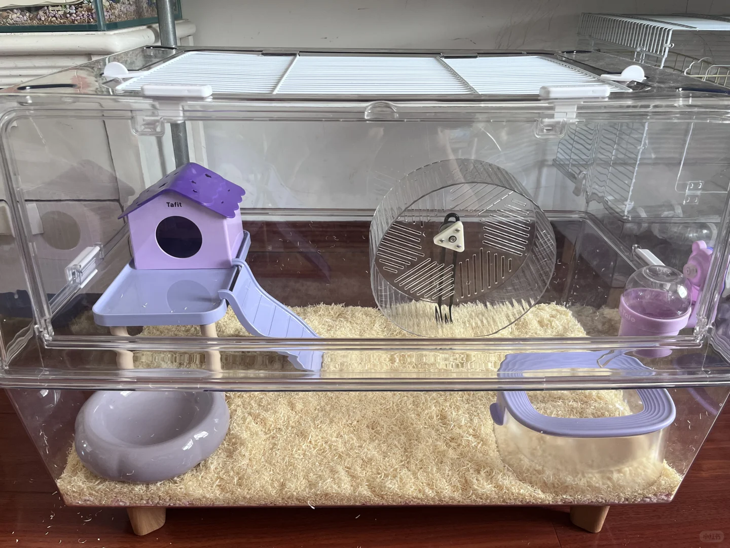 鼠鼠夏季王炸垫料！！