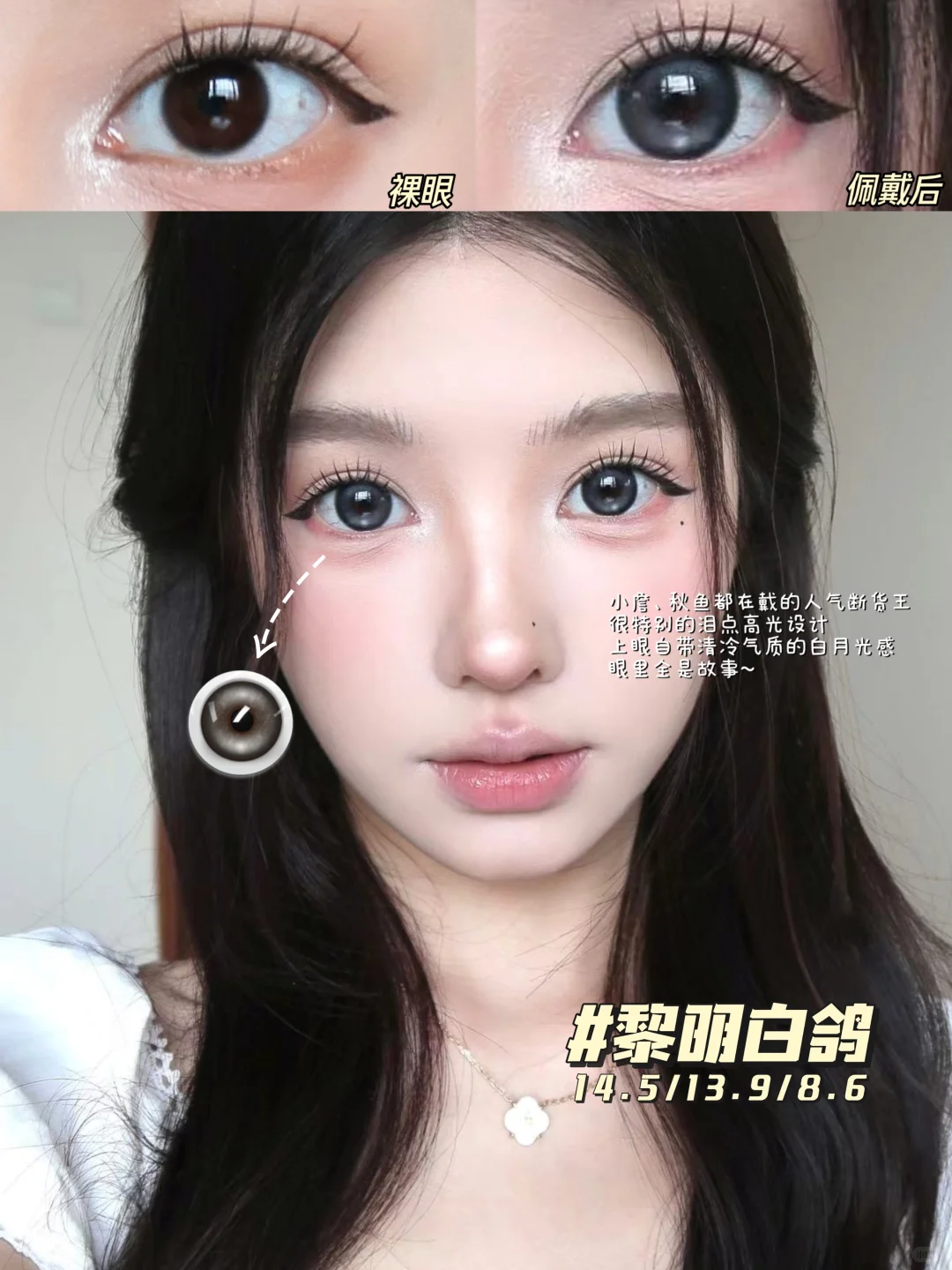 别催啦！断货王「黎明白鸽」库存现货已上架！