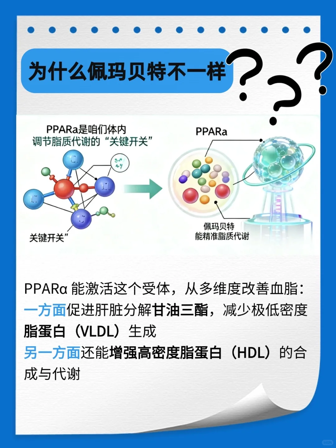 降脂药物新成员:佩玛贝特片(Parmodia®)