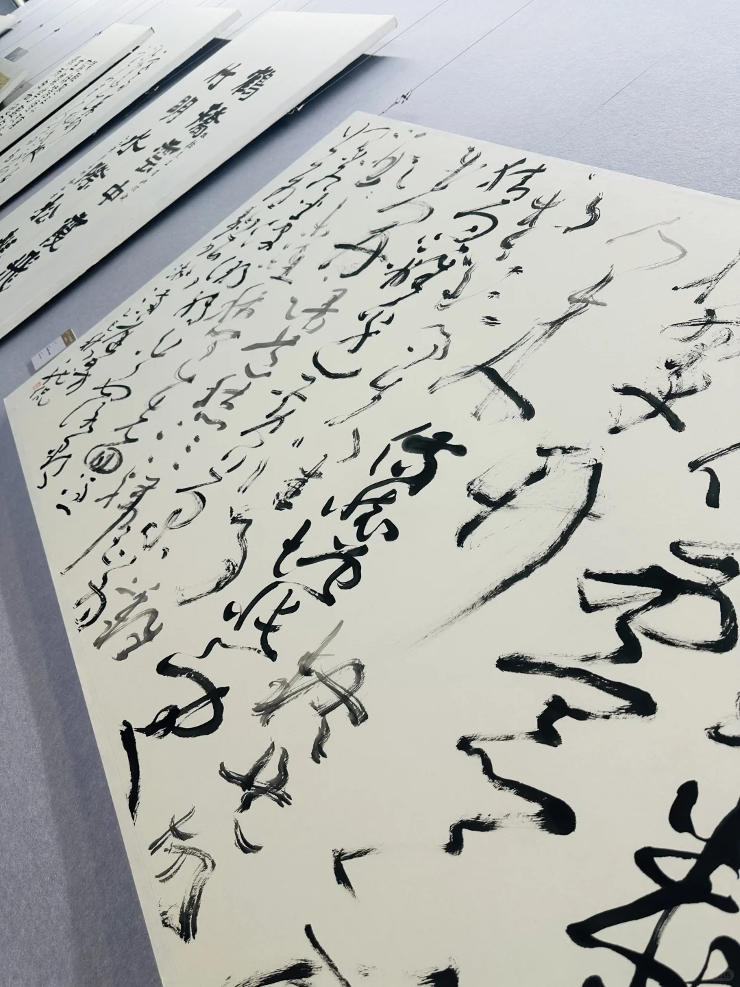 逸行十人展高邮美术馆展出