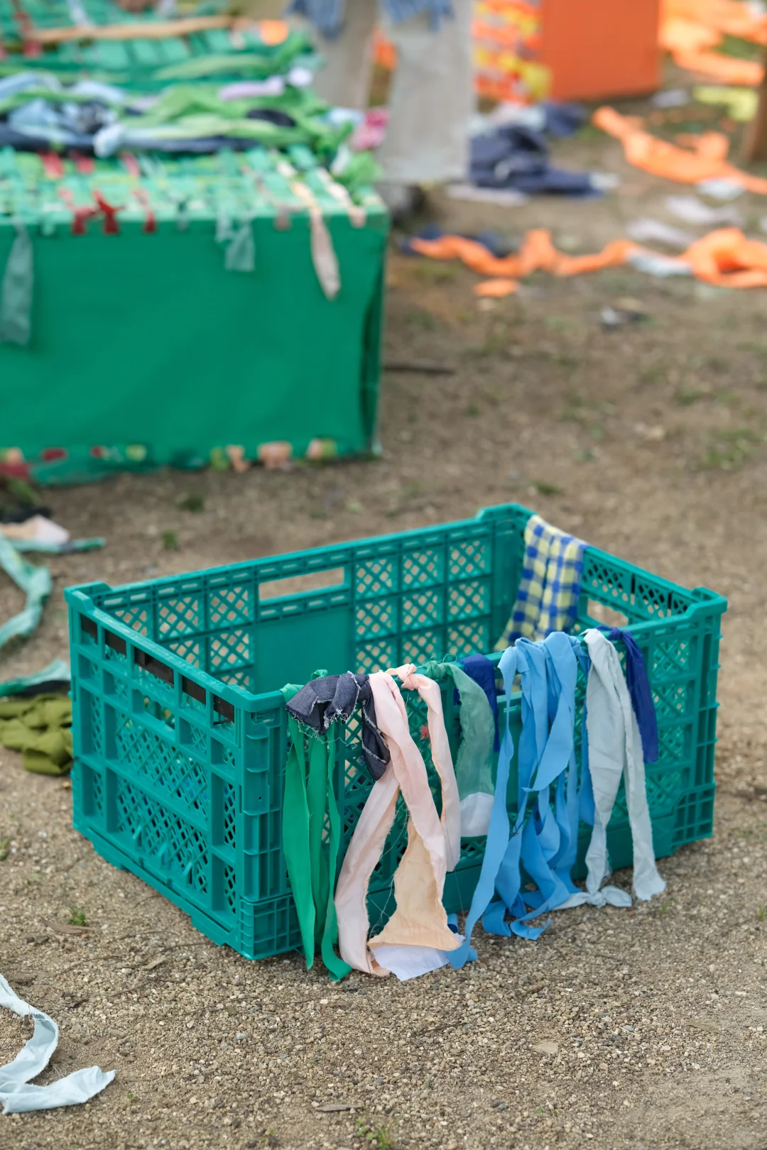 plant b“捡垃圾”的第4年?♻️