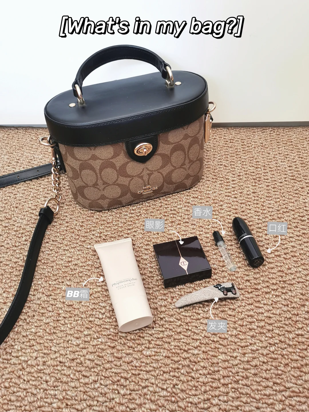 千万别做Plog博主…否则你会告别拖延症