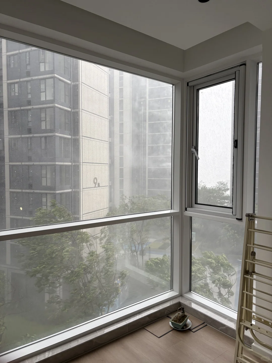 强对流天气下的封窗效果?️live沉浸式暴雨