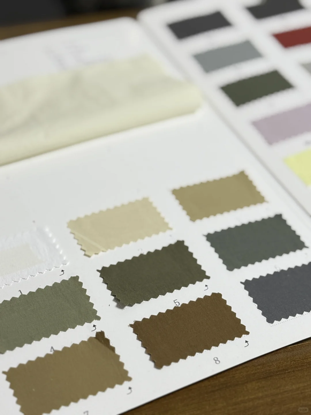 原地出道的始祖鸟LW同款面料‼️