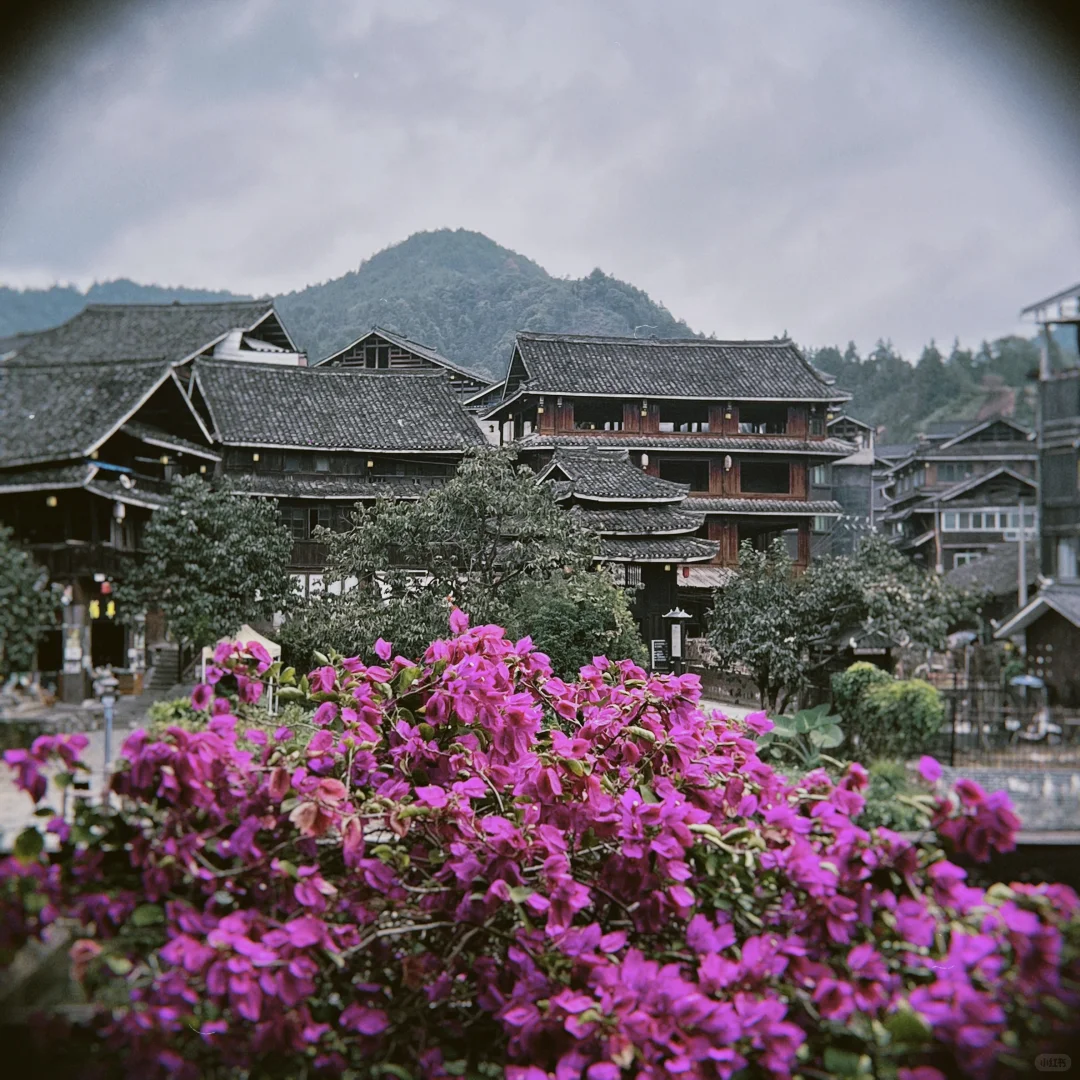 柳州|周末特种兵 吃了洗了逛了溜了?