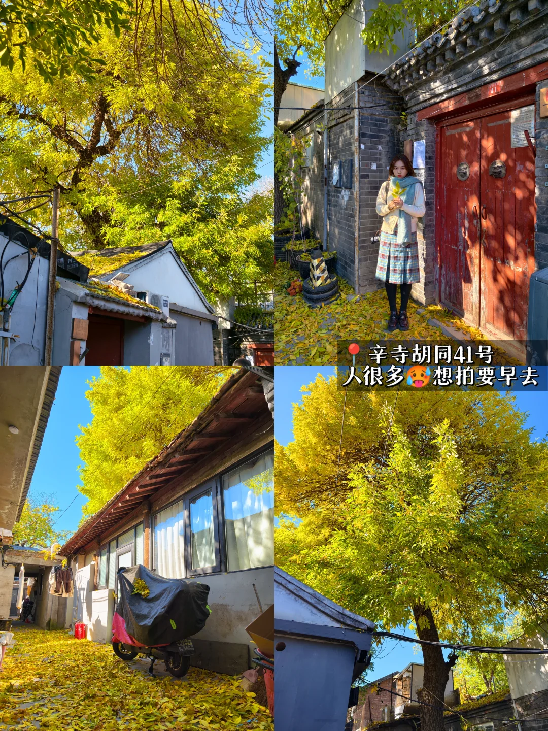 10.26实拍‼️北京5️⃣个人少落叶绝美胡同