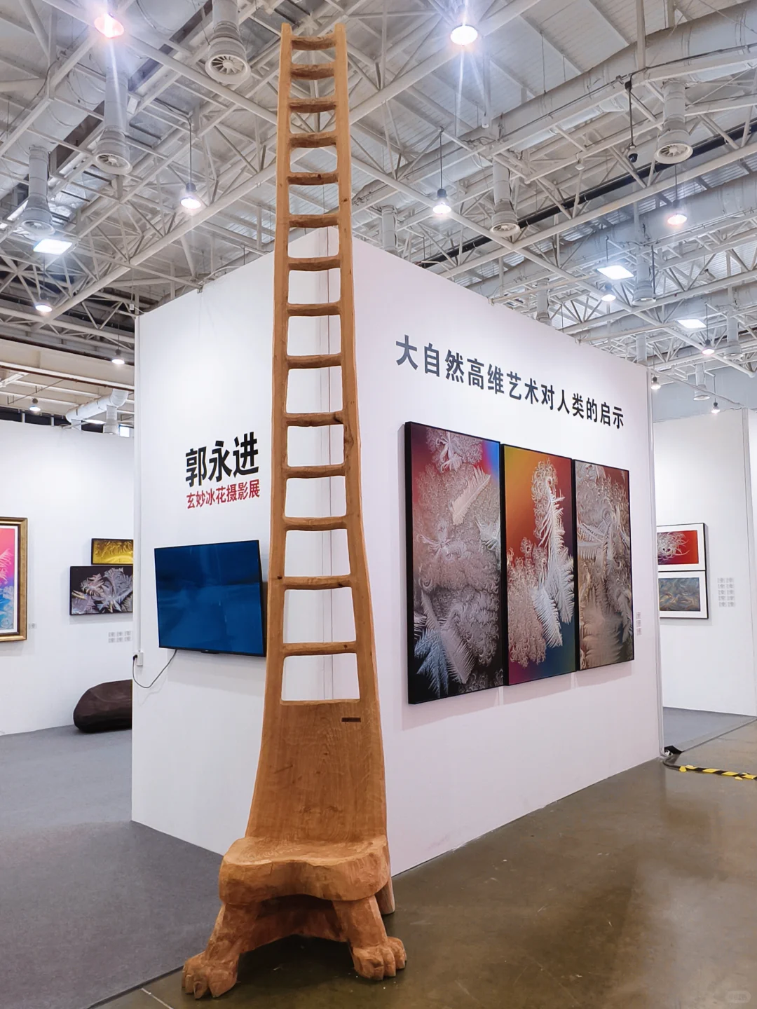  2025艺术厦门国际博览会开展啦大饱眼福啊