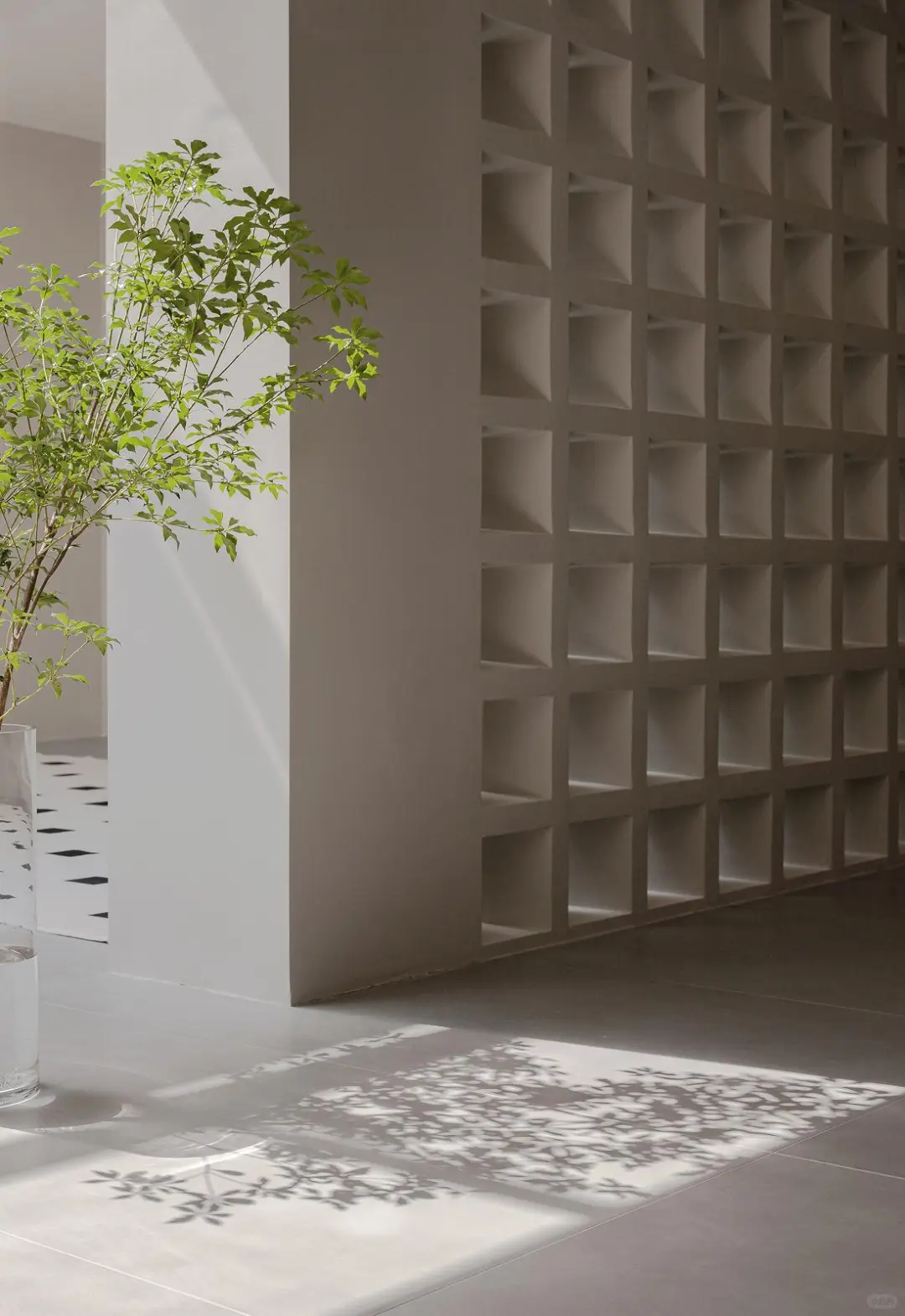 告别阴暗潮湿！筑起防霉抗菌“金钟罩”