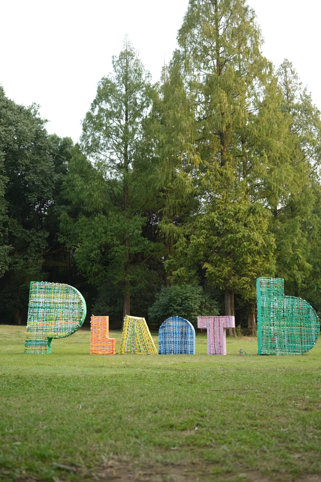 plant b“捡垃圾”的第4年?♻️