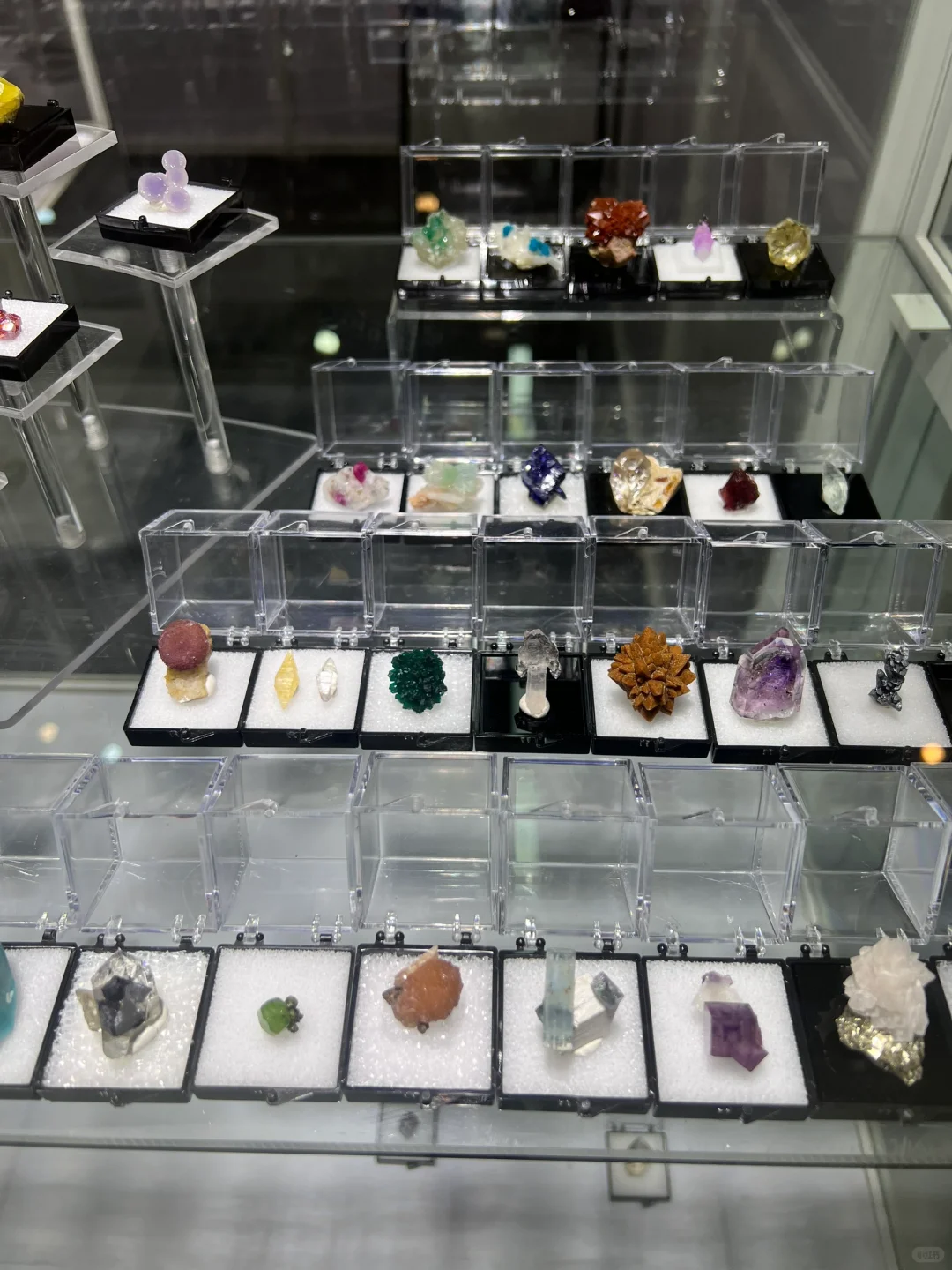 东海国际矿展会