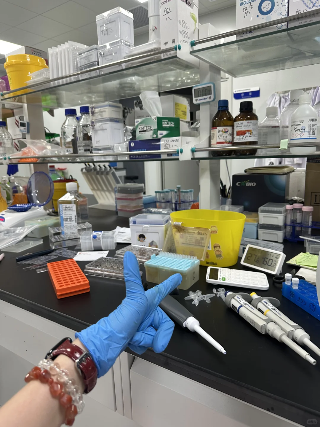 再也不想熬夜做实验了