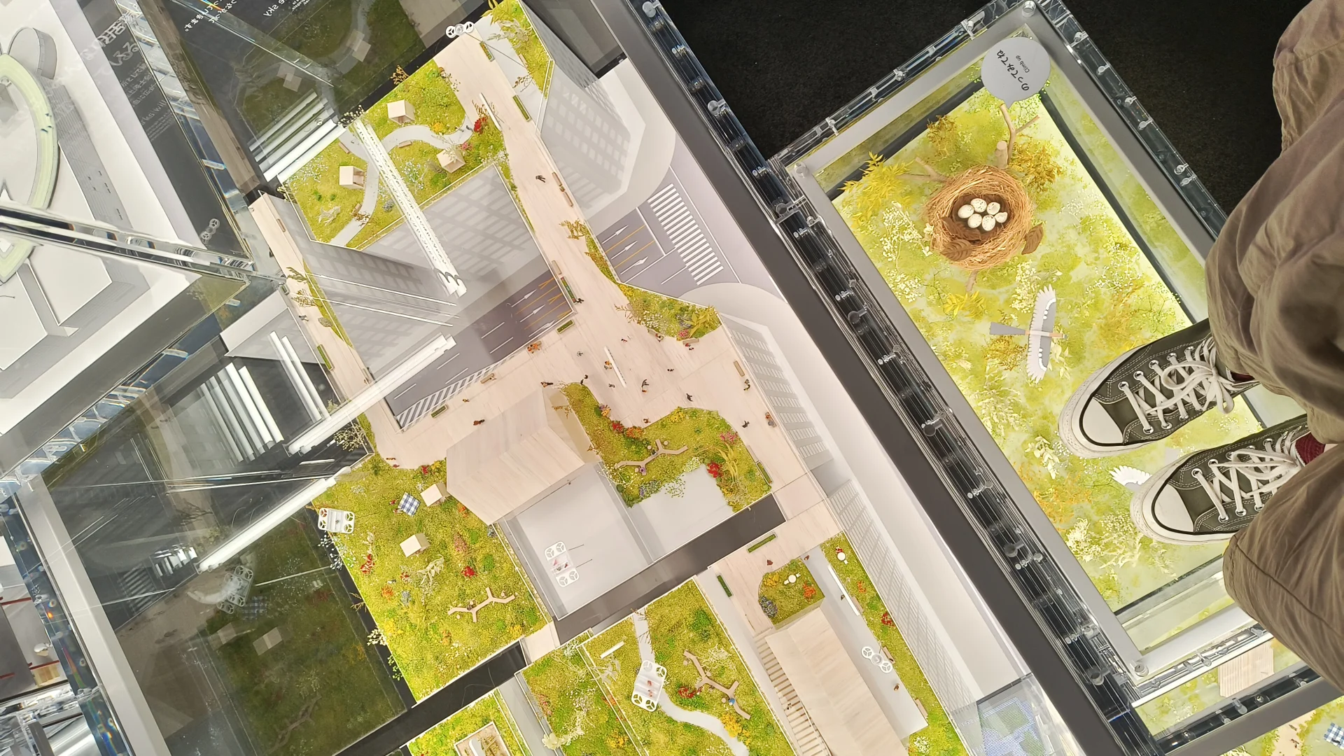 大阪expo健康馆 去过了