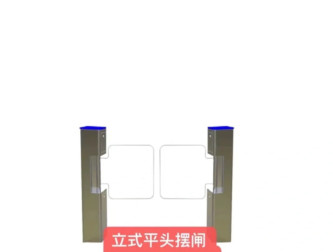 摆闸人行通道闸门