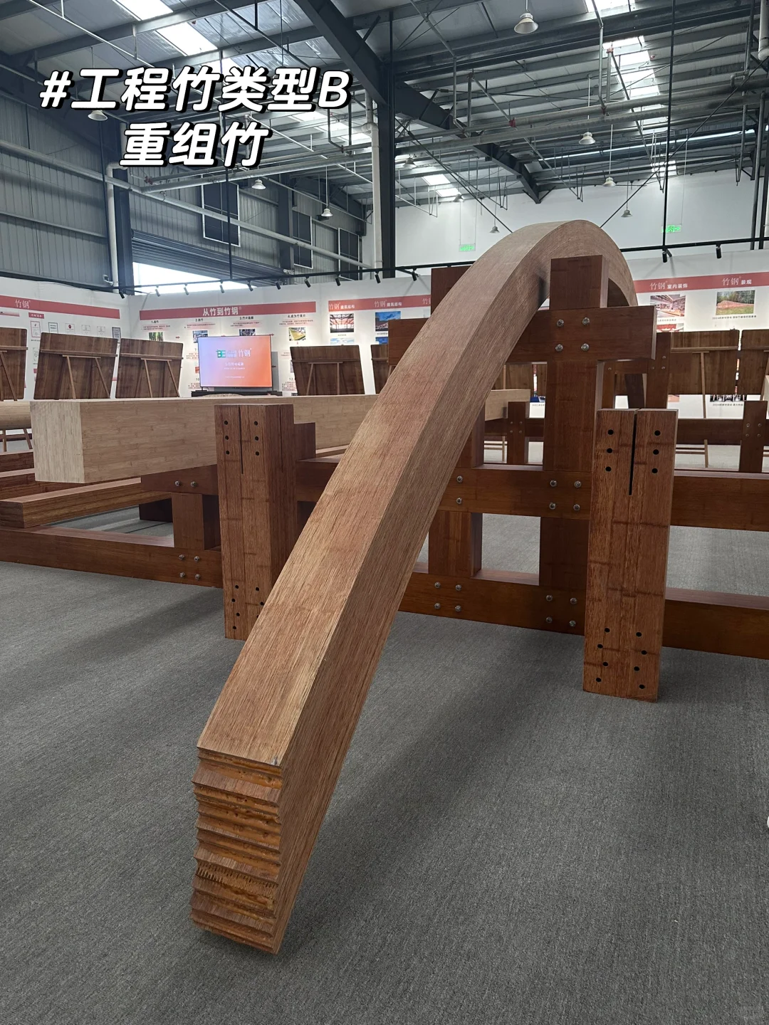 竹子的前世今生