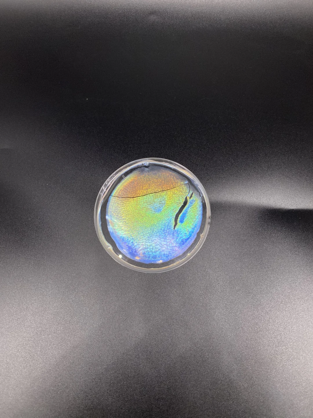 ?我用纳米纤维素做出一张“会变色的膜”