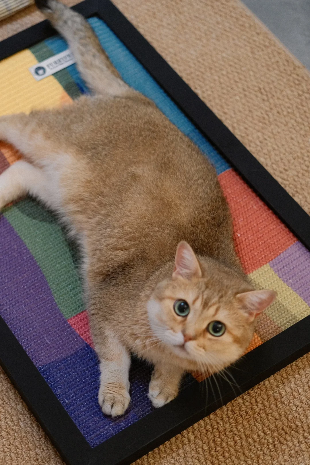 居家日常｜在家养一场属于自己的秋天?