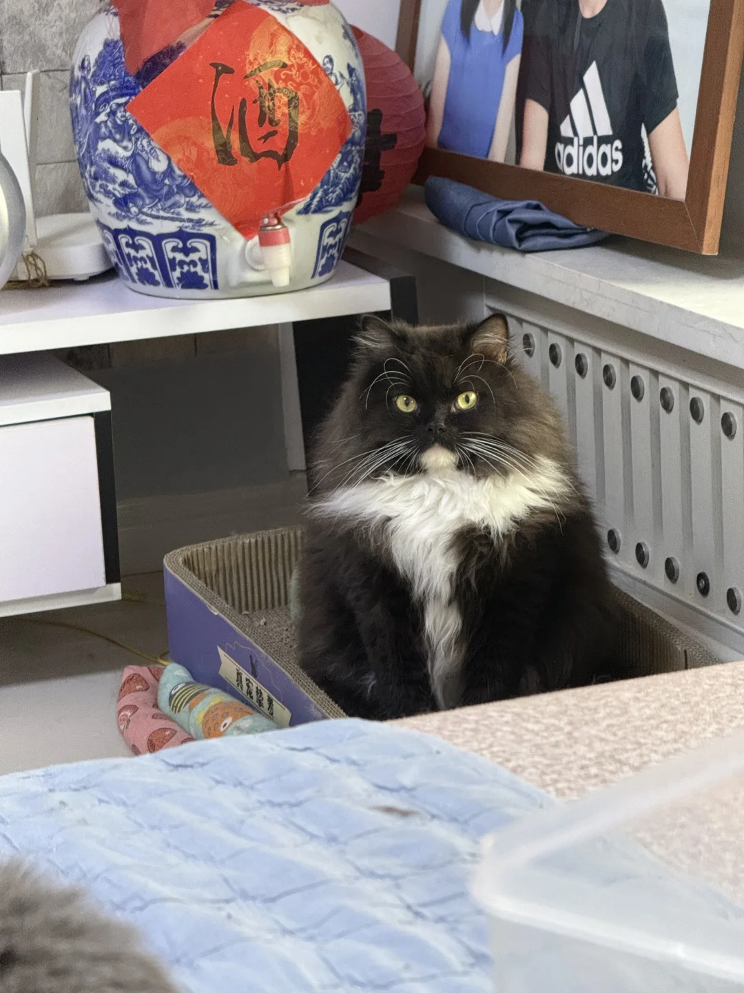 第一次做石塑粘土….暂时不接单