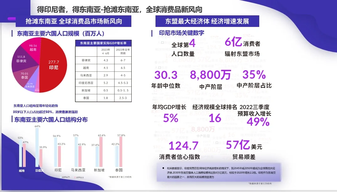 2024年9?️印尼电子展