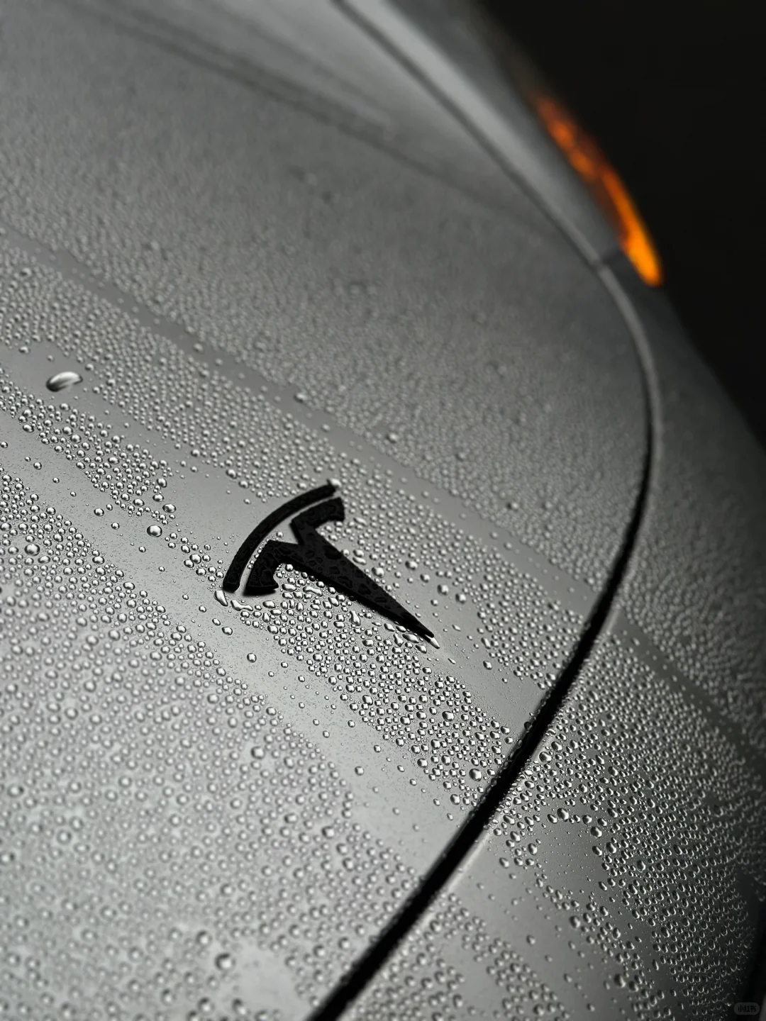 “雨天下，质感的神和鎏彩的光”